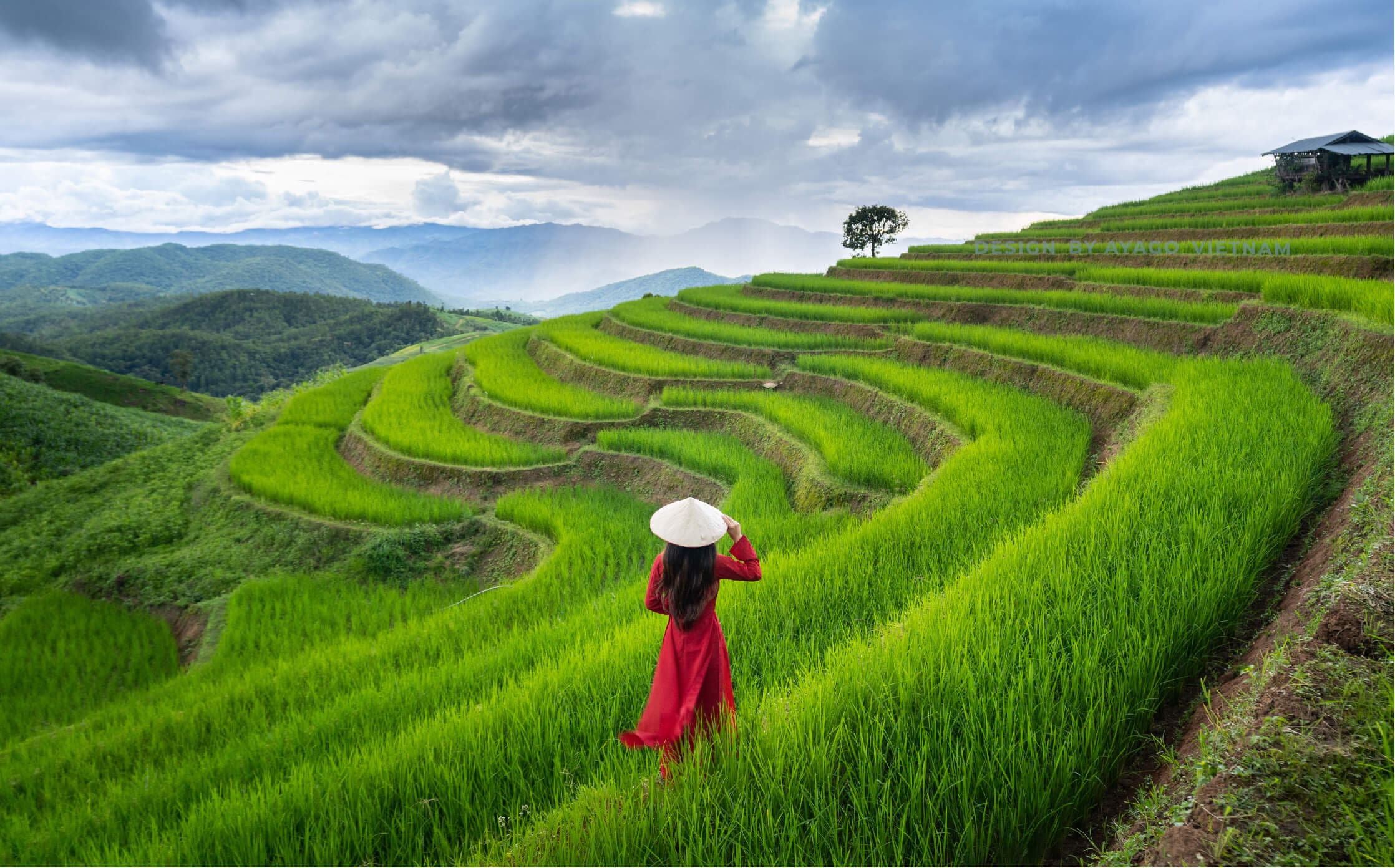 Tổ chức du lịch Nha Trang - Ayago Travel